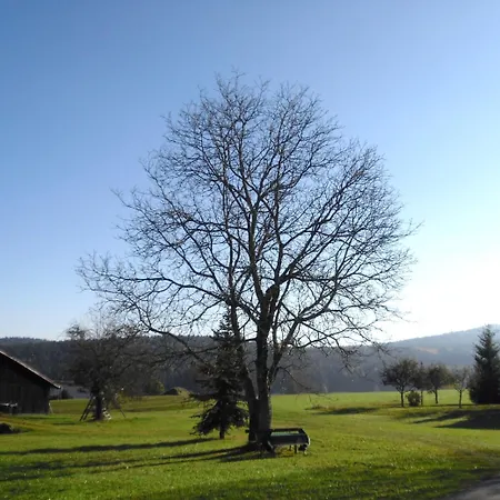 Gasthof-pension-kraus Penzion